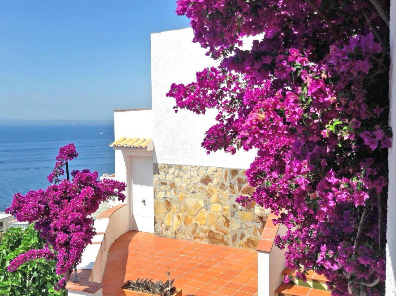 Splendido Studio, Vista Mare, A 5Mn Dalla Spiaggia - Casa Artevida 罗萨斯 外观 照片